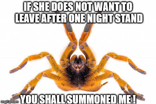 IF SHE DOES NOT WANT TO LEAVE AFTER ONE NIGHT STAND; YOU SHALL SUMMONED ME ! | image tagged in tarantula | made w/ Imgflip meme maker