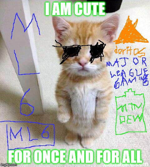 Cute Cat Meme | I AM CUTE; FOR ONCE AND FOR ALL | image tagged in memes,cute cat | made w/ Imgflip meme maker