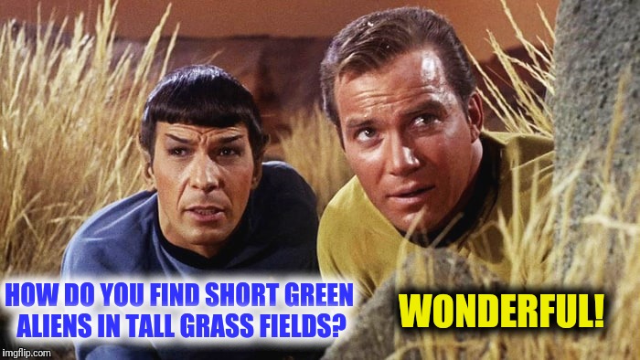 I am neither short nor green, Captain! 
 Star Trek Week!  A brandy_jackson, Tombstone1881 and coollew event, Nov 20-27th.  | WONDERFUL! HOW DO YOU FIND SHORT GREEN ALIENS IN TALL GRASS FIELDS? | image tagged in star trek week,spock,captain kirk,aliens | made w/ Imgflip meme maker