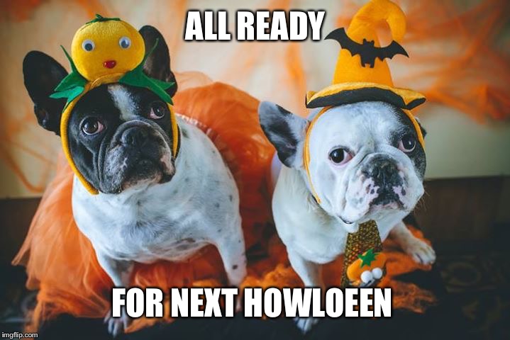 ALL READY FOR NEXT HOWLOEEN | made w/ Imgflip meme maker