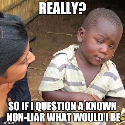 Third World Skeptical Kid Meme | REALLY? SO IF I QUESTION A KNOWN NON-LIAR WHAT WOULD I BE | image tagged in memes,third world skeptical kid | made w/ Imgflip meme maker