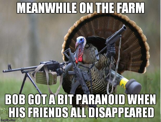 Hope everybody survived Thanksgiving with family and friends! | MEANWHILE ON THE FARM; BOB GOT A BIT PARANOID WHEN HIS FRIENDS ALL DISAPPEARED | image tagged in turkey,paranoia,wtf | made w/ Imgflip meme maker