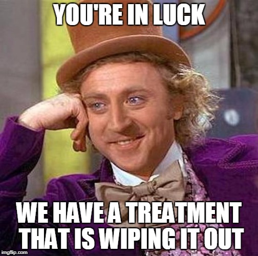 Creepy Condescending Wonka Meme | YOU'RE IN LUCK WE HAVE A TREATMENT THAT IS WIPING IT OUT | image tagged in memes,creepy condescending wonka | made w/ Imgflip meme maker