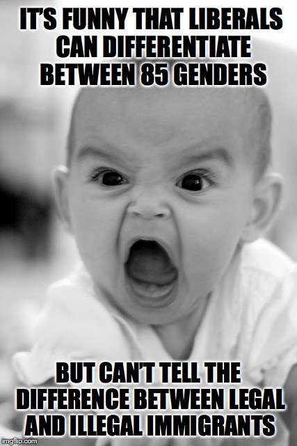 Liberal Blindness | IT’S FUNNY THAT LIBERALS CAN DIFFERENTIATE BETWEEN 85 GENDERS; BUT CAN’T TELL THE DIFFERENCE BETWEEN LEGAL AND ILLEGAL IMMIGRANTS | image tagged in illegal immigration,gender identity | made w/ Imgflip meme maker
