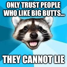 raccoon | ONLY TRUST PEOPLE WHO LIKE BIG BUTTS... THEY CANNOT LIE | image tagged in raccoon | made w/ Imgflip meme maker
