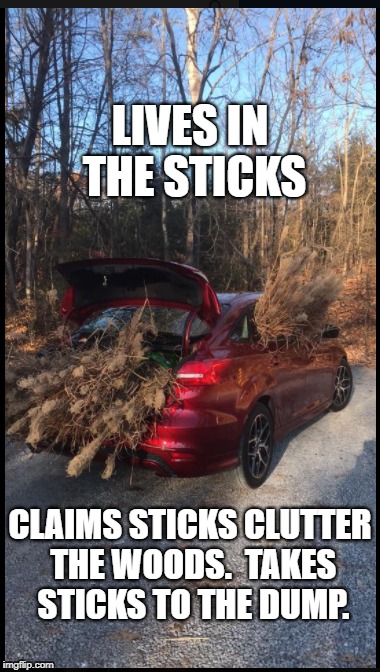 Do she got a man? | LIVES IN THE STICKS; CLAIMS STICKS CLUTTER THE WOODS.  TAKES STICKS TO THE DUMP. | image tagged in women,woods,redneck,wife | made w/ Imgflip meme maker