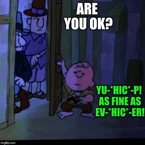 Drunk Charlie Brown | ARE YOU OK? YU-*HIC*-P! AS FINE AS EV-*HIC*-ER! | image tagged in charlie brown | made w/ Imgflip meme maker