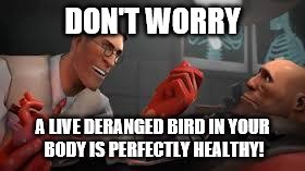 Doctor Stranger than ever |  DON'T WORRY; A LIVE DERANGED BIRD IN YOUR BODY IS PERFECTLY HEALTHY! | image tagged in team fortress 2 medic | made w/ Imgflip meme maker