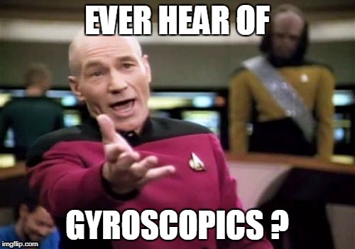 Picard Wtf Meme | EVER HEAR OF GYROSCOPICS ? | image tagged in memes,picard wtf | made w/ Imgflip meme maker