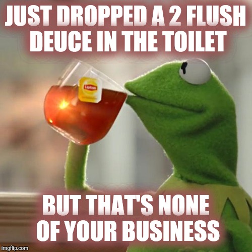SPLOOSH! | JUST DROPPED A 2 FLUSH DEUCE IN THE TOILET; BUT THAT'S NONE OF YOUR BUSINESS | image tagged in memes,but thats none of my business,kermit the frog,shit | made w/ Imgflip meme maker