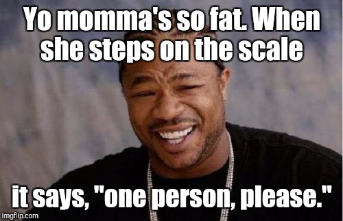Yo Dawg Heard You Meme | Yo momma's so fat. When she steps on the scale it says, "one person, please." | image tagged in memes,yo dawg heard you | made w/ Imgflip meme maker