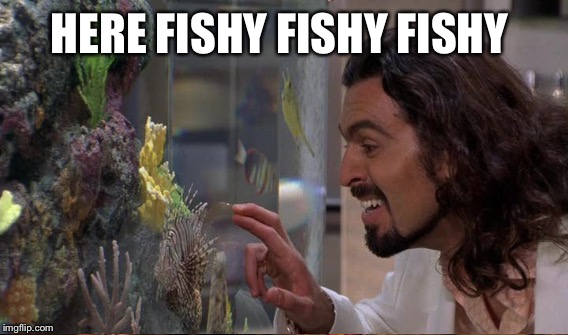 HERE FISHY FISHY FISHY | made w/ Imgflip meme maker