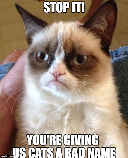 Grumpy Cat Meme | STOP IT! YOU'RE GIVING US CATS A BAD NAME | image tagged in memes,grumpy cat | made w/ Imgflip meme maker