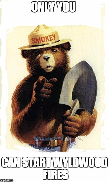 Smokey The Bear | ONLY YOU; CAN START WYLDWOOD FIRES | image tagged in smokey the bear | made w/ Imgflip meme maker
