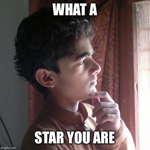 WHAT A; STAR YOU ARE | image tagged in star wars no,a star | made w/ Imgflip meme maker