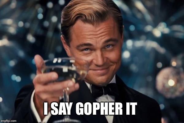 Leonardo Dicaprio Cheers Meme | I SAY GOPHER IT | image tagged in memes,leonardo dicaprio cheers | made w/ Imgflip meme maker