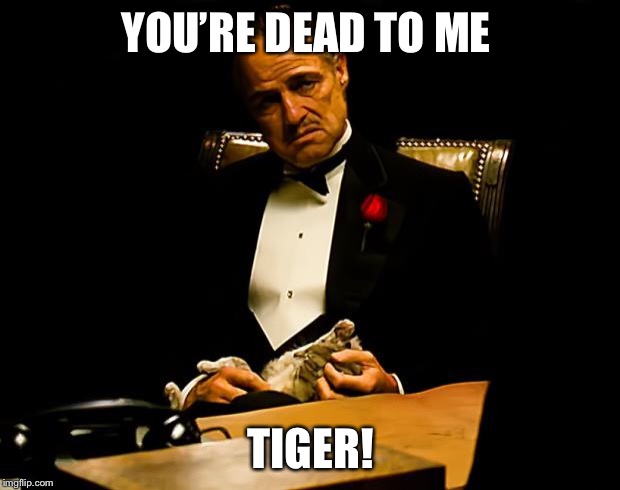 Godfather | YOU’RE DEAD TO ME; TIGER! | image tagged in godfather | made w/ Imgflip meme maker