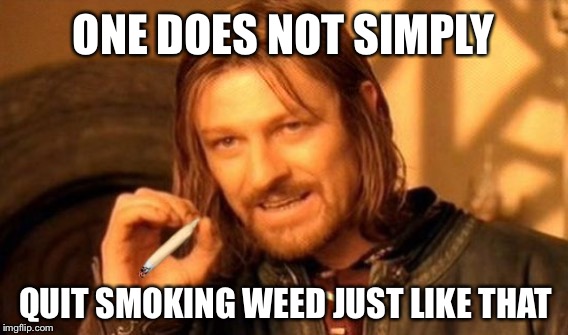 one does not simply | ONE DOES NOT SIMPLY; QUIT SMOKING WEED JUST LIKE THAT | image tagged in one does not simply,quit,smoking weed,smoke weed everyday | made w/ Imgflip meme maker