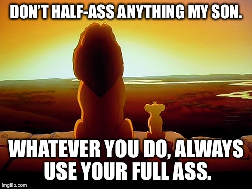 Lion King | DON’T HALF-ASS ANYTHING MY SON. WHATEVER YOU DO, ALWAYS USE YOUR FULL ASS. | image tagged in memes,lion king | made w/ Imgflip meme maker