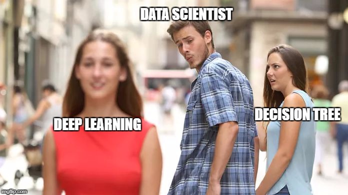 Distracted Boyfriend | DATA SCIENTIST; DECISION TREE; DEEP LEARNING | image tagged in distracted boyfriend | made w/ Imgflip meme maker