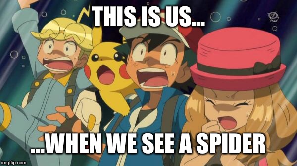 When we see a spider | THIS IS US... ...WHEN WE SEE A SPIDER | image tagged in scared,spiders | made w/ Imgflip meme maker