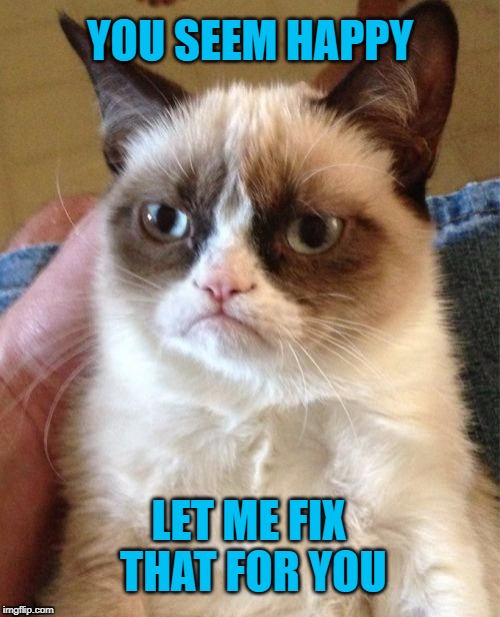 You're Lack Of Despair Disturbs Me | YOU SEEM HAPPY; LET ME FIX THAT FOR YOU | image tagged in memes,grumpy cat,meme | made w/ Imgflip meme maker
