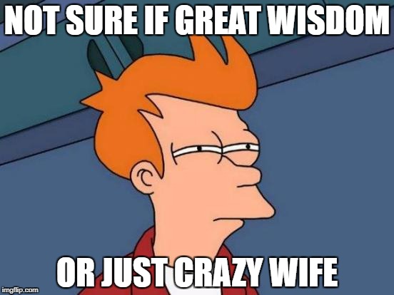 Futurama Fry Meme | NOT SURE IF GREAT WISDOM OR JUST CRAZY WIFE | image tagged in memes,futurama fry | made w/ Imgflip meme maker