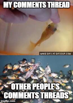 IMGFLIP feeding frenzy... | MY COMMENTS THREAD; OTHER PEOPLE'S COMMENTS THREADS | image tagged in comments,memes,fish | made w/ Imgflip meme maker