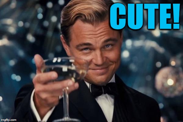 Leonardo Dicaprio Cheers Meme | CUTE! | image tagged in memes,leonardo dicaprio cheers | made w/ Imgflip meme maker