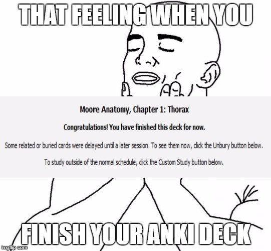 That feeling when | THAT FEELING WHEN YOU; FINISH YOUR ANKI DECK | image tagged in that feeling when | made w/ Imgflip meme maker