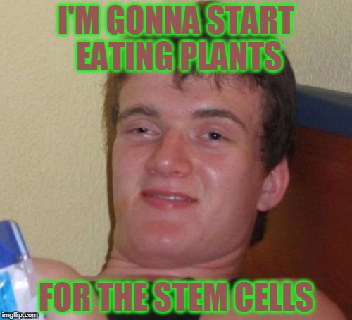 Higher reasoning | I'M GONNA START EATING PLANTS; FOR THE STEM CELLS | image tagged in memes,10 guy | made w/ Imgflip meme maker