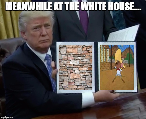 Trump Approves Bill | MEANWHILE AT THE WHITE HOUSE.... | image tagged in trump bill signing | made w/ Imgflip meme maker