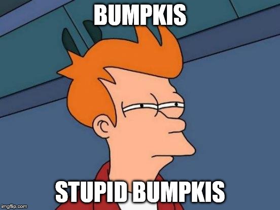 Futurama Fry Meme | BUMPKIS STUPID BUMPKIS | image tagged in memes,futurama fry | made w/ Imgflip meme maker