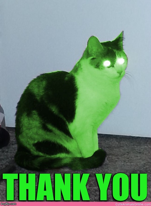 Hypno Raycat | THANK YOU | image tagged in hypno raycat | made w/ Imgflip meme maker