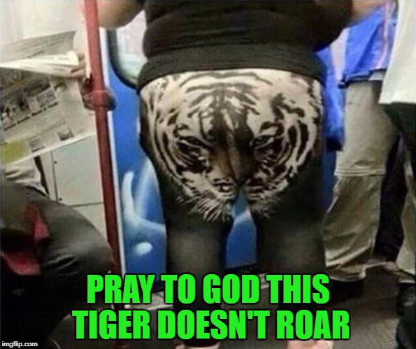 I'm scared of that kitty already!!! | PRAY TO GOD THIS TIGER DOESN'T ROAR | image tagged in tiger shorts,memes,please don't roar,funny,public transportation | made w/ Imgflip meme maker