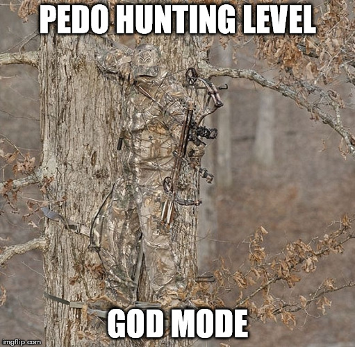 hunter god mode | PEDO HUNTING LEVEL; GOD MODE | image tagged in hunter god mode | made w/ Imgflip meme maker