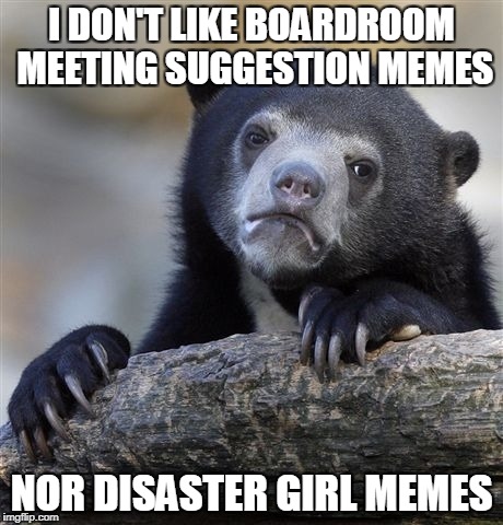 Confession Bear Meme | I DON'T LIKE BOARDROOM MEETING SUGGESTION MEMES NOR DISASTER GIRL MEMES | image tagged in memes,confession bear | made w/ Imgflip meme maker