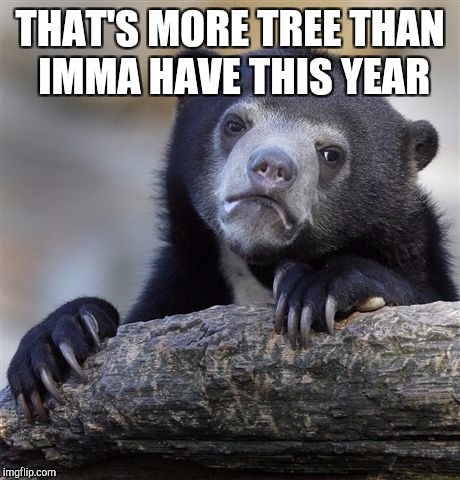 Confession Bear Meme | THAT'S MORE TREE THAN IMMA HAVE THIS YEAR | image tagged in memes,confession bear | made w/ Imgflip meme maker
