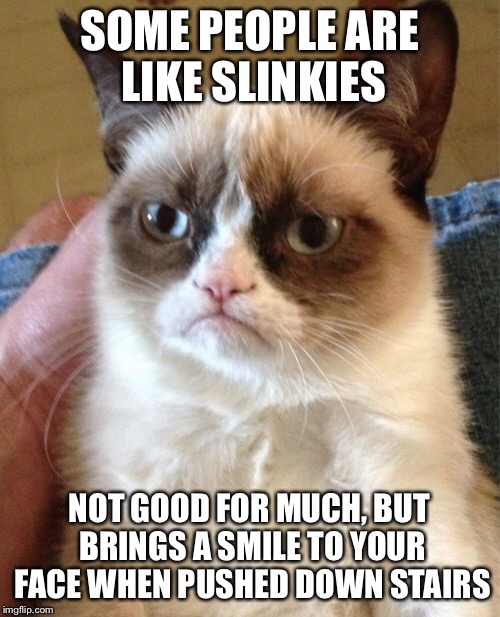 Grumpy Cat Meme | SOME PEOPLE ARE LIKE SLINKIES NOT GOOD FOR MUCH, BUT BRINGS A SMILE TO YOUR FACE WHEN PUSHED DOWN STAIRS | image tagged in memes,grumpy cat | made w/ Imgflip meme maker