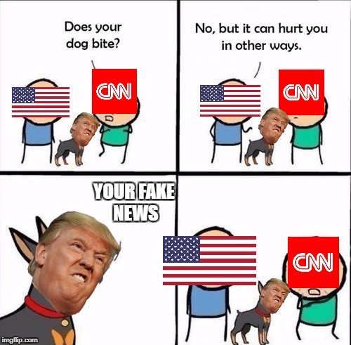 Demonstration on The Donald bashing CNN | YOUR
FAKE NEWS | image tagged in does your dog bite,memes,funny,donald trump,cnn,fake news | made w/ Imgflip meme maker