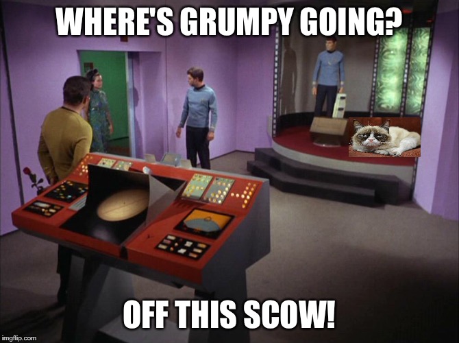 I'm outta here! | WHERE'S GRUMPY GOING? OFF THIS SCOW! | image tagged in grumpy cat,star trek,star trek week | made w/ Imgflip meme maker