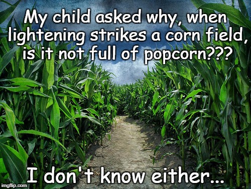 Why??? | My child asked why, when lightening strikes a corn field, is it not full of popcorn??? I don't know either... | image tagged in lightening strikes,corn field,popcorn,i don't know | made w/ Imgflip meme maker