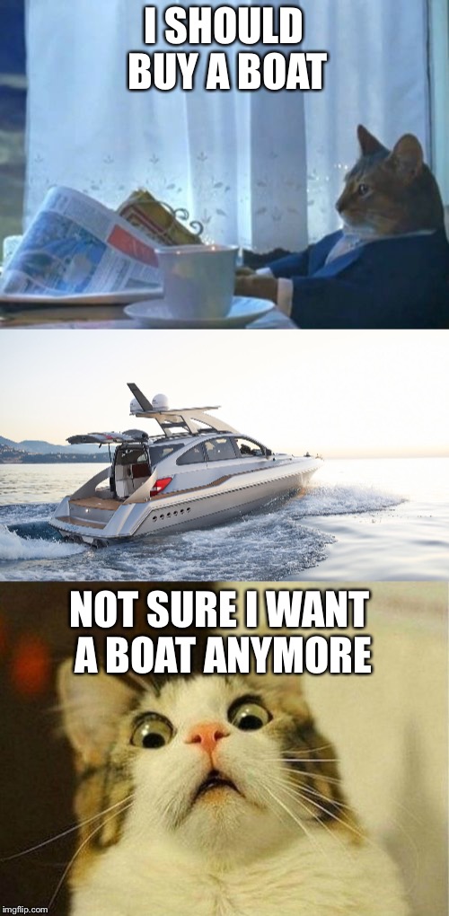 Top Gear has Officially Managed to Ruin Boats | I SHOULD BUY A BOAT; NOT SURE I WANT A BOAT ANYMORE | image tagged in top gear,cats,boats,i should buy a boat cat | made w/ Imgflip meme maker