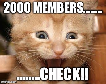 Excited Cat Meme | 2000 MEMBERS........ ........CHECK!! | image tagged in memes,excited cat | made w/ Imgflip meme maker