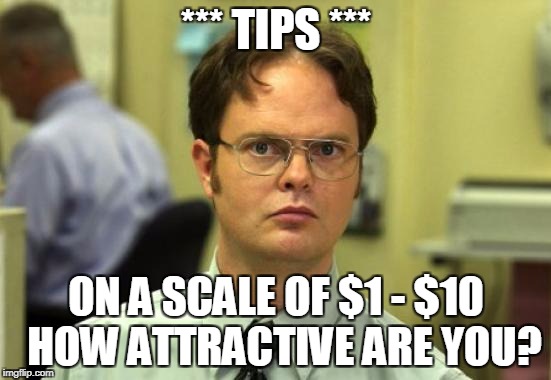 Dwight Schrute Meme | *** TIPS ***; ON A SCALE OF $1 - $10 
HOW ATTRACTIVE ARE YOU? | image tagged in memes,dwight schrute | made w/ Imgflip meme maker
