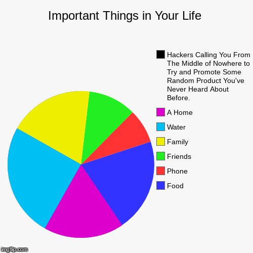 Important Everyday Essentials of Life | image tagged in funny,pie charts,important,life | made w/ Imgflip chart maker