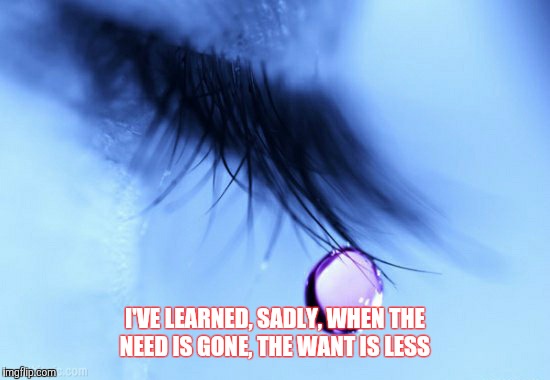 #hardtolove  | I'VE LEARNED, SADLY, WHEN THE NEED IS GONE, THE WANT IS LESS | image tagged in love | made w/ Imgflip meme maker