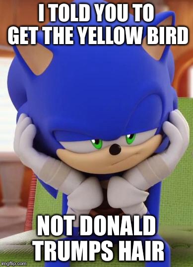 Disappointed Sonic | I TOLD YOU TO GET THE YELLOW BIRD; NOT DONALD TRUMPS HAIR | image tagged in disappointed sonic | made w/ Imgflip meme maker