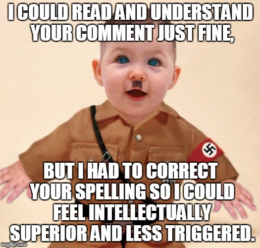 baby grammar Nazi  | I COULD READ AND UNDERSTAND YOUR COMMENT JUST FINE, BUT I HAD TO CORRECT YOUR SPELLING SO I COULD FEEL INTELLECTUALLY SUPERIOR AND LESS TRIG | image tagged in baby grammar nazi | made w/ Imgflip meme maker