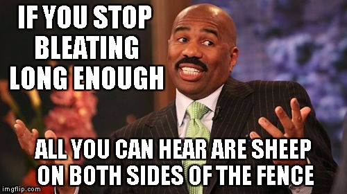 Steve Harvey Meme | IF YOU STOP BLEATING LONG ENOUGH; ALL YOU CAN HEAR ARE SHEEP ON BOTH SIDES OF THE FENCE | image tagged in memes,steve harvey | made w/ Imgflip meme maker